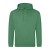Cactus Green