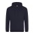 French Navy