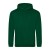 Rainforest Green