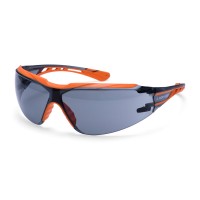PS10 Dynamic Safety Glasses