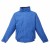 Royal Blue Royal Blue