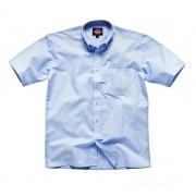 SH64250 Short Sleeve Dickies Oxford Shirt